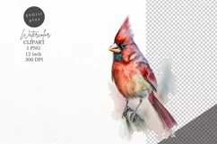 Christmas clipart, Cardinal clipart, Winter clipart Product Image 1
