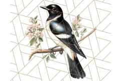 Vintage Song Bird Clipart PNG, Botanical Bird Art Clip Art Product Image 5
