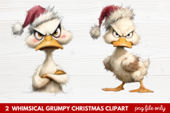 2 Whimsical Grumpy Christmas Clipart | Funny Grumpy Holiday Product Image 1