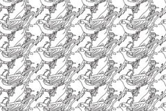 Line art seamless pattern with garden birds vector illustrat Product Image 1