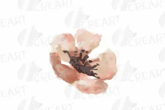 Faded orange and blush flowers and green leaves watercolor Product Image 9