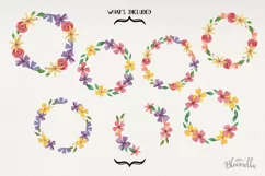 Adelaine Wreaths 7 Wreaths Watercolor Florals Bright Flowers Product Image 4