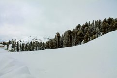 Breathtaking view of the pine trees on the snow-covered hill Product Image 1