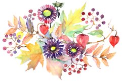 Autumn Bouquet with asters and physalis Watercolor png Product Image 2