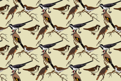 Botanical abstract seamless pattern with garden birds vector Product Image 1