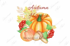 Watercolor Clipart Autumn.Pumpkin PNG Sublimation. Product Image 2