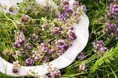 Thyme on plate in summer Product Image 1
