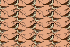 Botanical abstract seamless pattern with garden birds vector Product Image 1