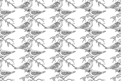 Line art seamless pattern with garden birds vector izolated Product Image 1