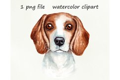 Watercolor dog png, beagle, hand drawn Product Image 1