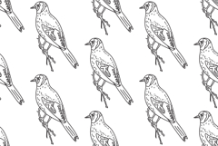 Line art seamless pattern with garden birds vector bg Product Image 1