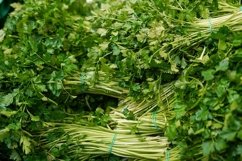 Fresh green parsley in the store. Fresh herbs Product Image 1