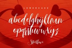 Web Font Steellove Product Image 5