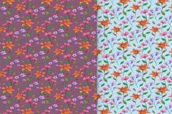 Drawn Flower Patterns and Elements Product Image 6