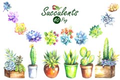 Watercolor Succulents Clip Art Set Product Image 2