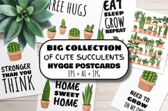 Cute Succulents Hygge Postcards Big Set Product Image 1