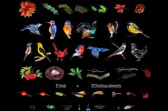 Watercolor clipart Winter birds Product Image 3
