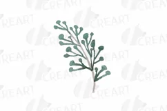 Cotton bolls and fir branch leafy autumn and winter decor Product Image 12