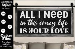 All I Need In This Crazy Life SVG Product Image 1