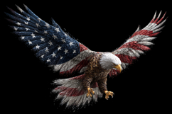 Eagle Flag 4th of July Product Image 1