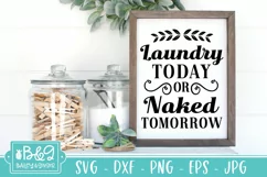 Funny Laundry Room SVG | Farmhouse Sign | Naked Tomorrow Product Image 1