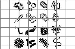 Vmrus or bocteria icons vector set. Microorganism symbols. Product Image 1