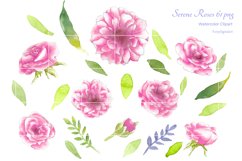 Watercolor Flowers Roses Clipart Product Image 2