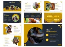 Wild Animal Care | Powerpoint, Keynote, GoogleSlides Product Image 4