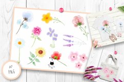 Flower Sublimation Bundle | Watercolor Floral Clipart Product Image 2