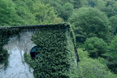 An abandoned house in a green forest. Product Image 1