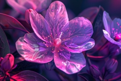 Crane&#039;s Bill Flower Background Wallpaper Product Image 1