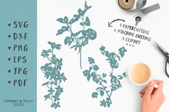 Flower Study - SVG EPS DXF PNG PDF JPG Cutting File Product Image 1