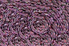 Abstract pink background of fractal colors. Product Image 1