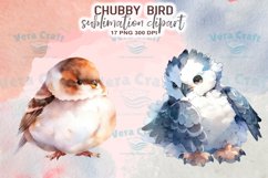 Chubby Bird Watercolor Sublimation Clipart Product Image 3