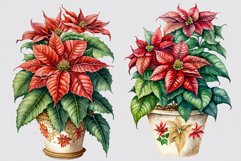 Poinsettia clipart, Christmas clipart, Watercolor clipart Product Image 2