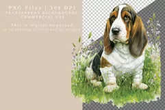 Basset hound clipart, Dog clipart Product Image 2