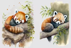 Red panda clipart, Animals clipart, Watercolor clipart Product Image 2