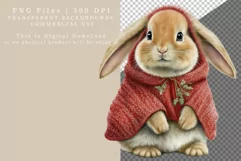 Bunny clipart, Christmas sublimation, Winter clipart Product Image 2