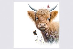 Peeking calf clipart, Highland calf clipart Product Image 2