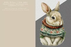 Bunny clipart, Christmas clipart, Winter sublimation Product Image 2