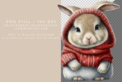 Bunny clipart, Christmas sublimation, Winter clipart Product Image 2