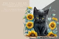 KiBlack kitten clipart, Summer clipart, Autumn clipart Product Image 2