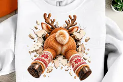 3D Christmas Reindeer PNG | Broken Wall Front & Back Sublima Product Image 4