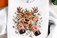 3D Christmas Reindeer PNG | Broken Wall Front & Back Sublima Product Image 5