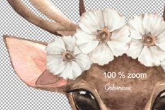 Spring deer Product Image 2