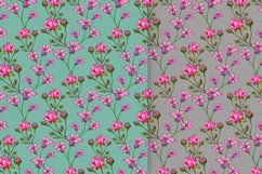 Drawn Flower Patterns and Elements Product Image 8