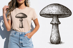 Vintage Mushroom Illustrations Product Image 2