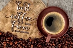 Web Font Espontise Script Product Image 5