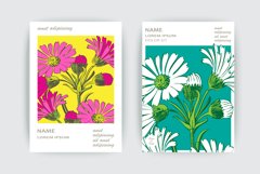 Hand drawn closeup natural Chrysanthemum flower artistic Product Image 1