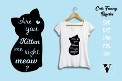 Are you kitten me right meow SVG Cats quotes Product Image 1